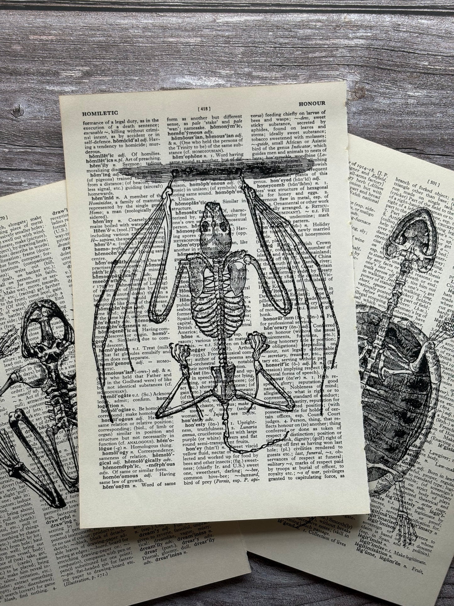 Antique Anatomy Dictionary Page Wall Art | Dark Cottagecore Gothic Prints | Set of 3