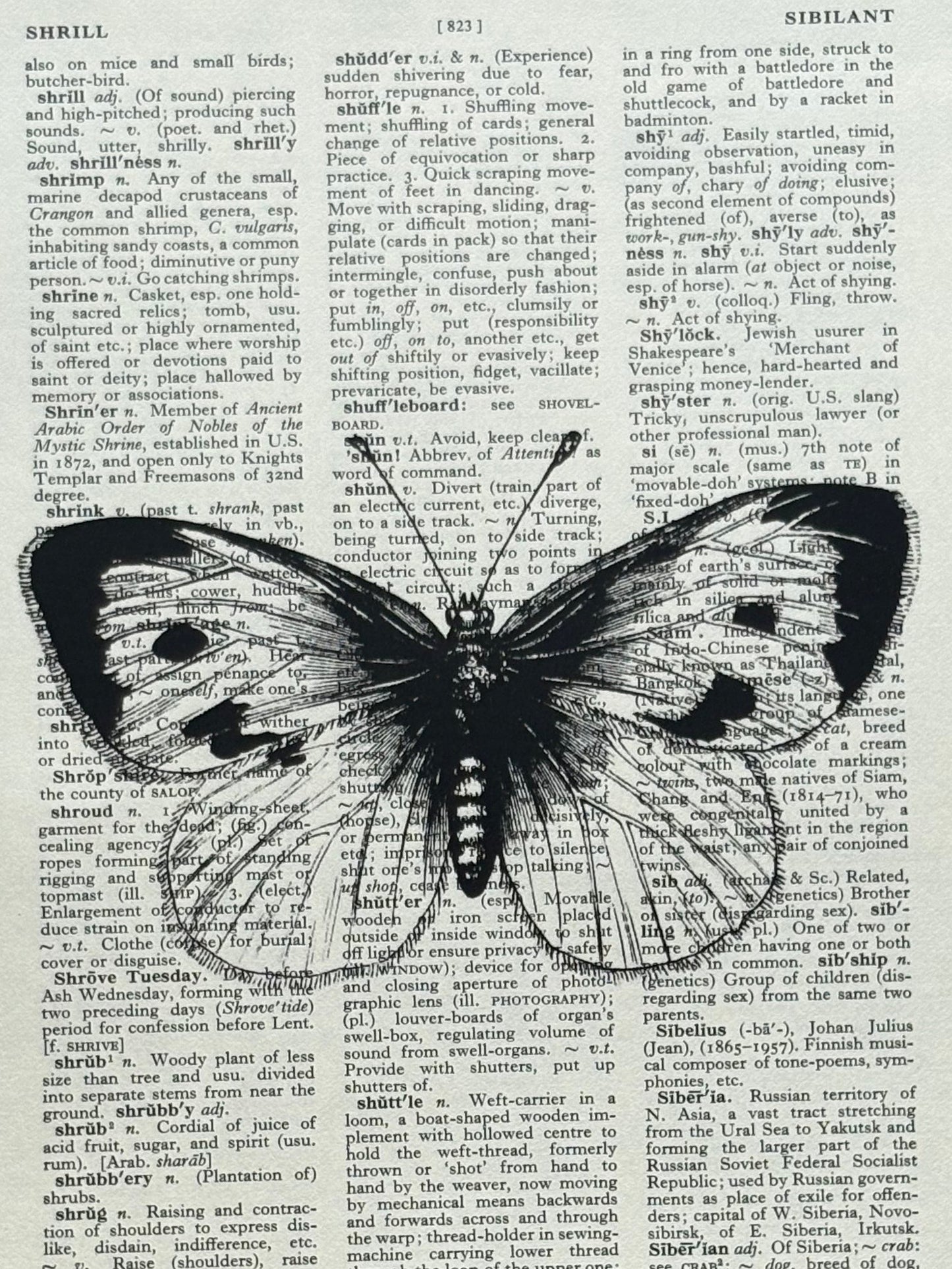 Antique Butterfly Dictionary Page Wall Art | Dark Cottagecore Gothic Print