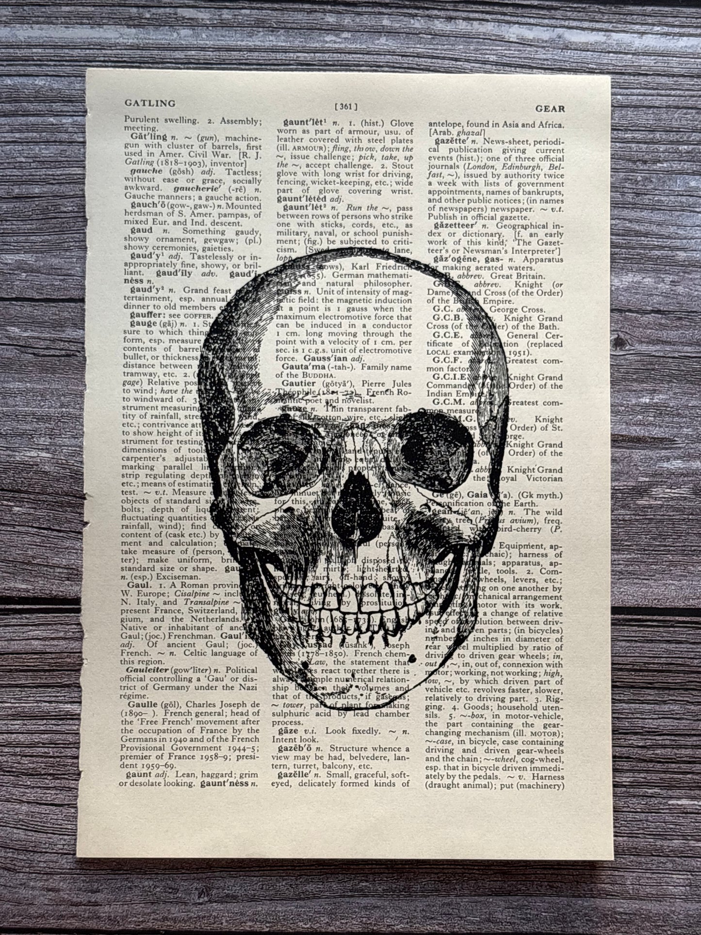 Antique Human Skull Dictionary Page Wall Art | Dark Cottagecore Gothic Print