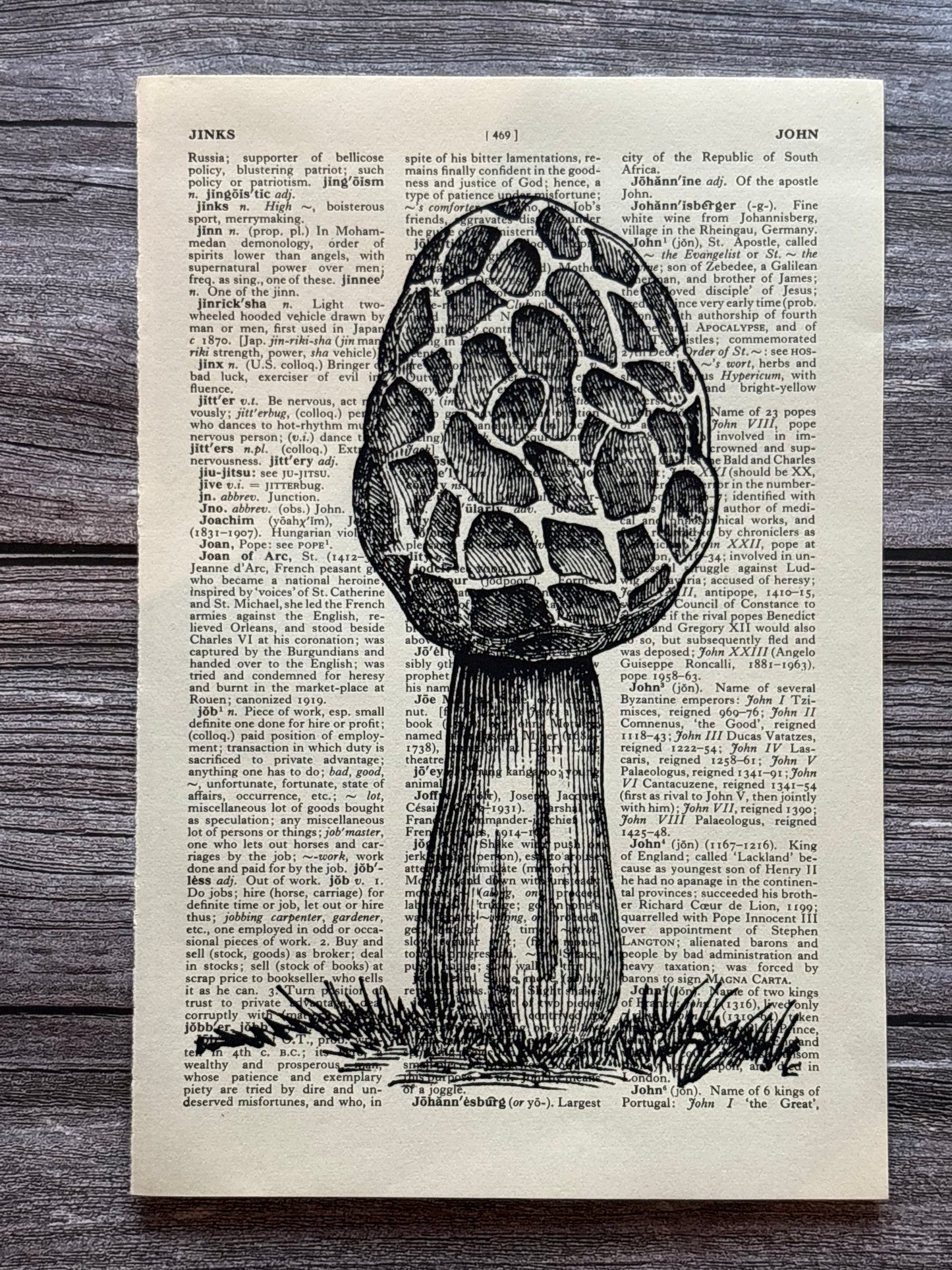 Antique Fungi Dictionary Page Wall Art | Dark Cottagecore Gothic Print