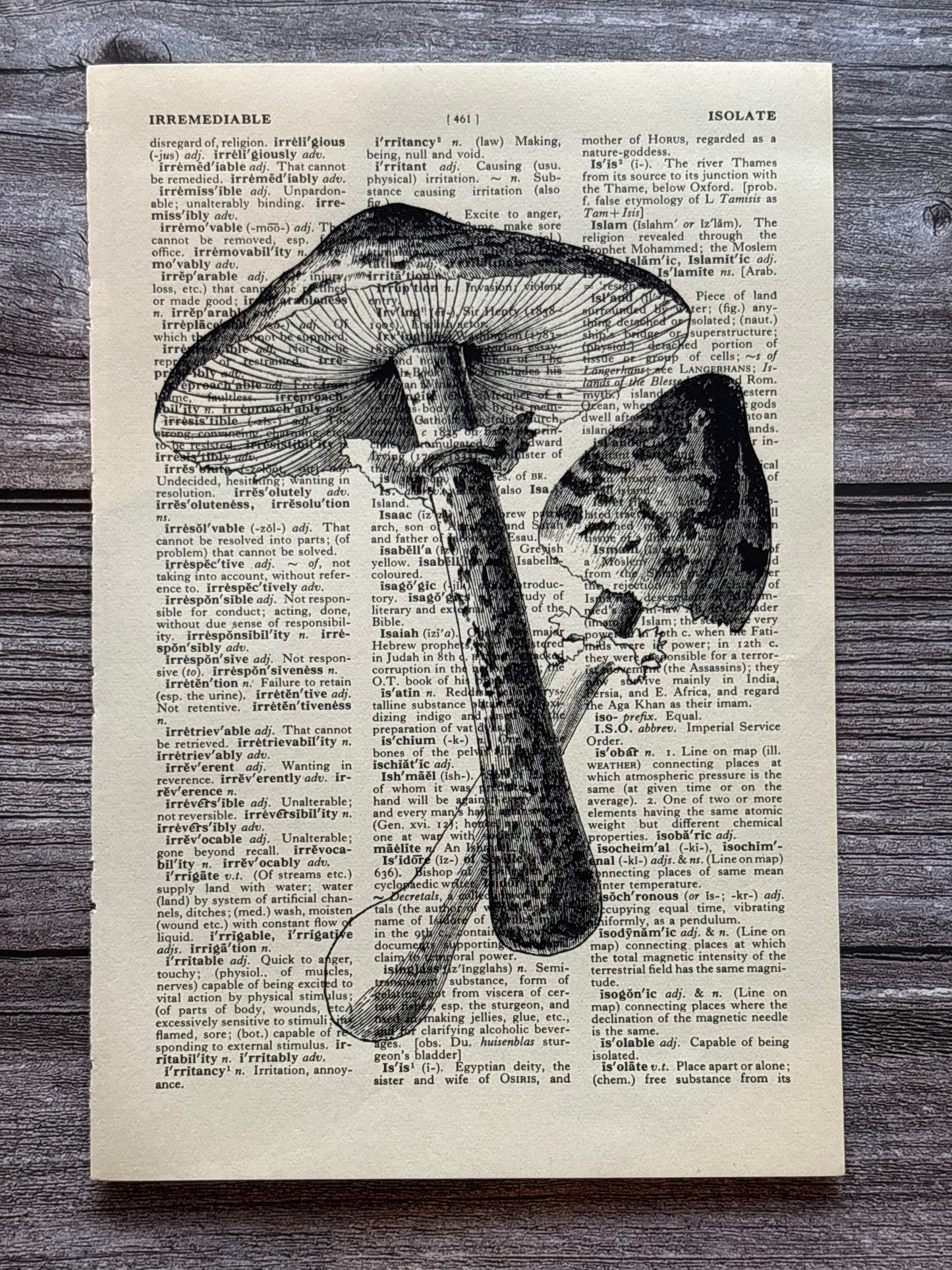 Antique Fungi Dictionary Page Wall Art | Dark Cottagecore Gothic Print