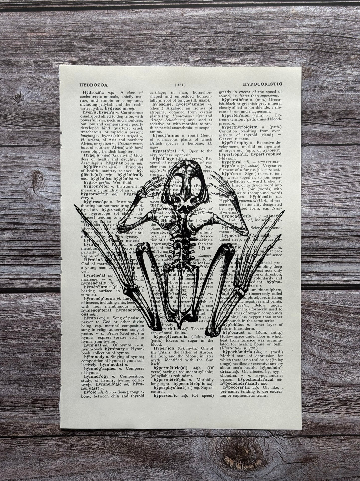 Antique Frog Anatomy Dictionary Page Wall Art | Dark Cottagecore Gothic Print