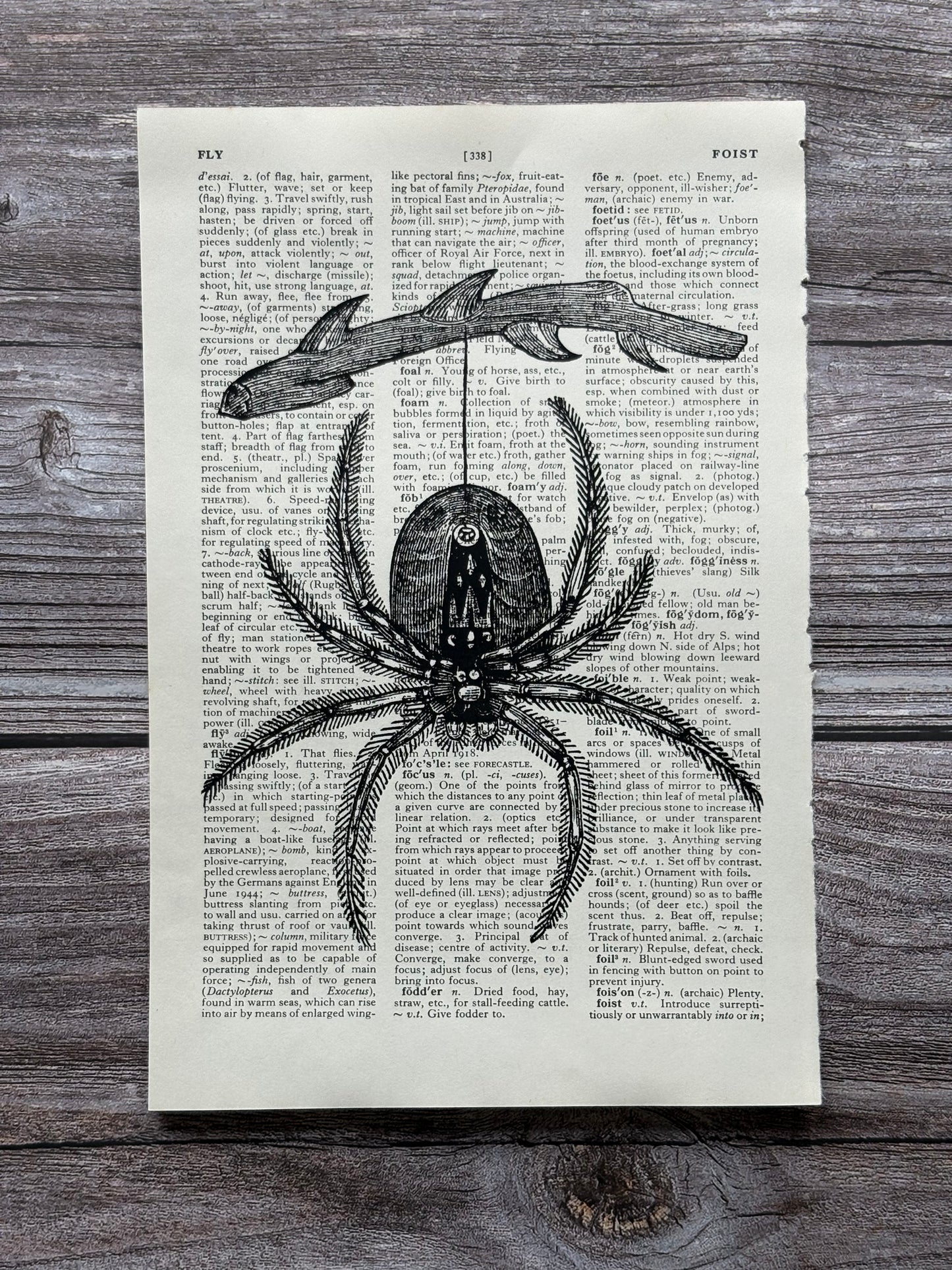 Antique Spider Dictionary Page Wall Art | Dark Cottagecore Gothic Print