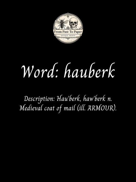 Word Of The Week: Hauberk