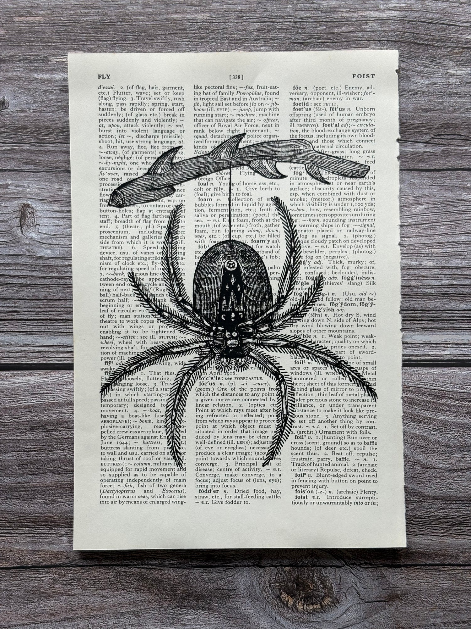 Animals & Insects