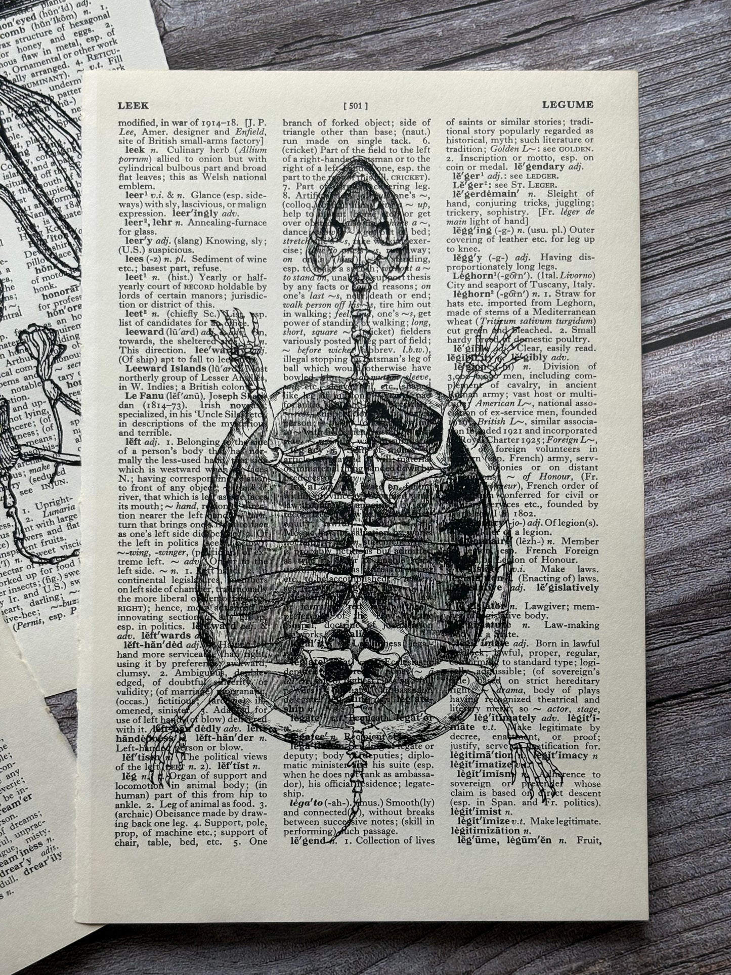 Antique Anatomy Dictionary Page Wall Art | Dark Cottagecore Gothic Prints | Set of 3