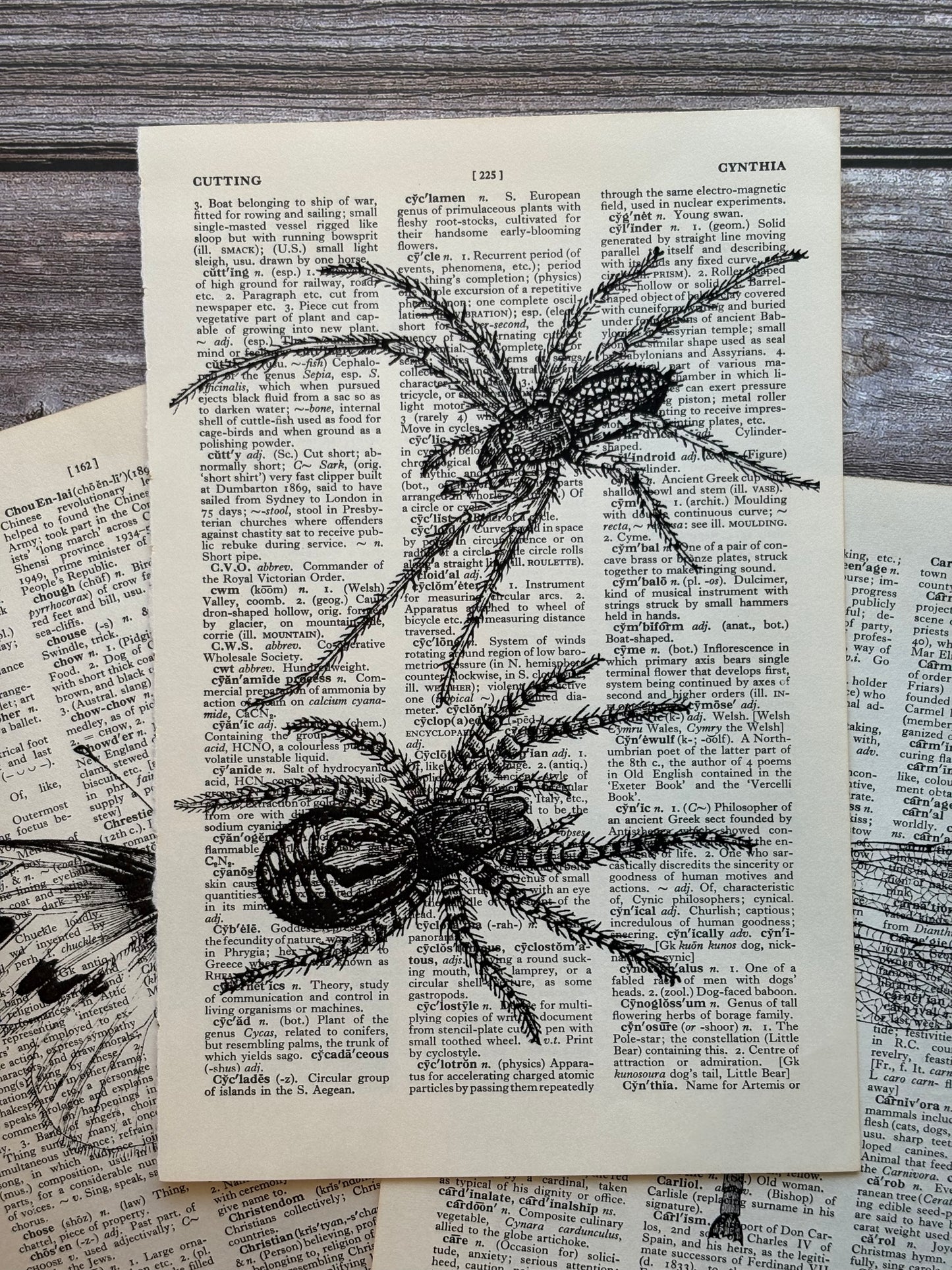 Antique Insect Dictionary Page Wall Art | Dark Cottagecore Gothic Prints | Set of 3