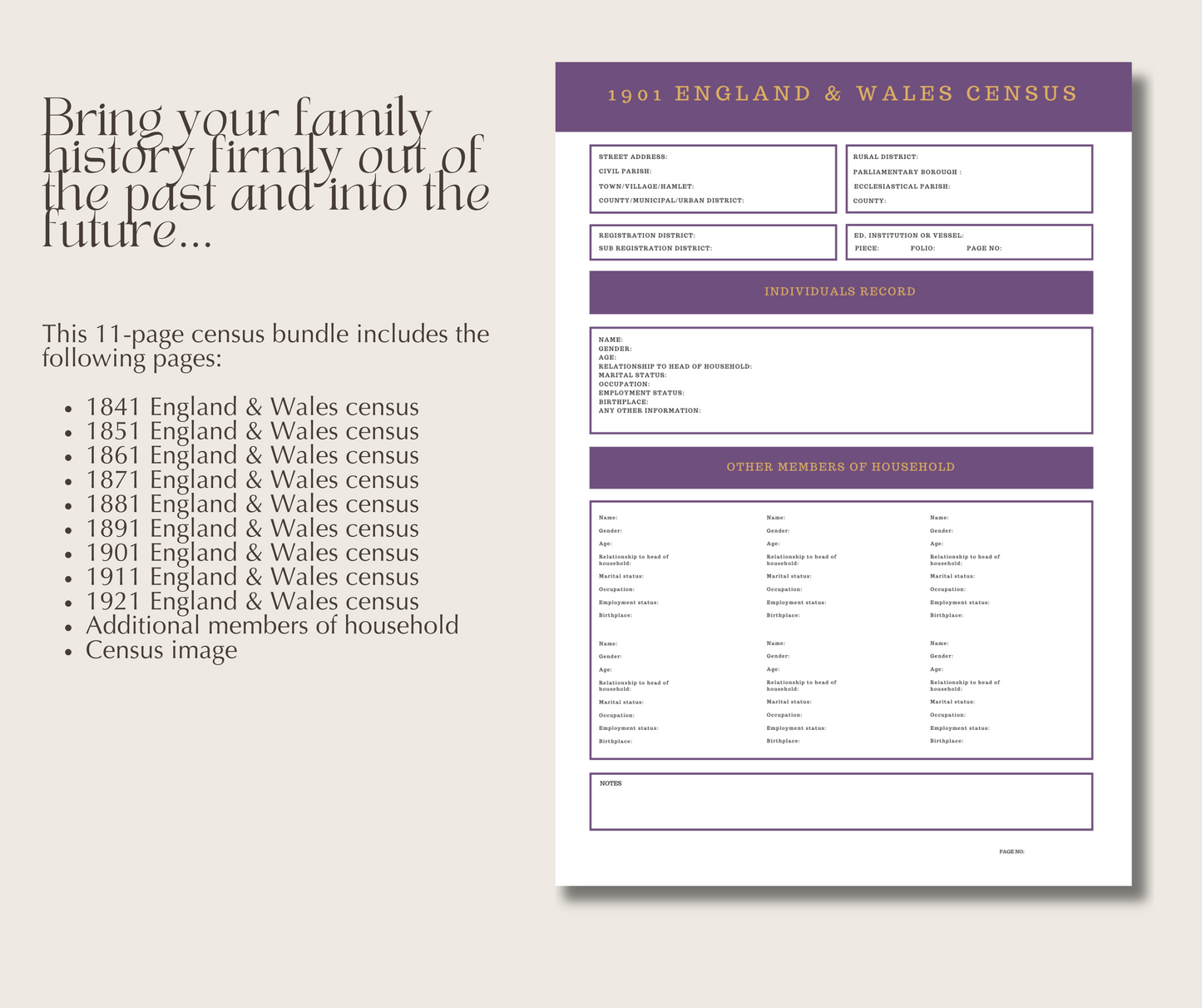 1841-1921 UK England & Wales Census Bundle