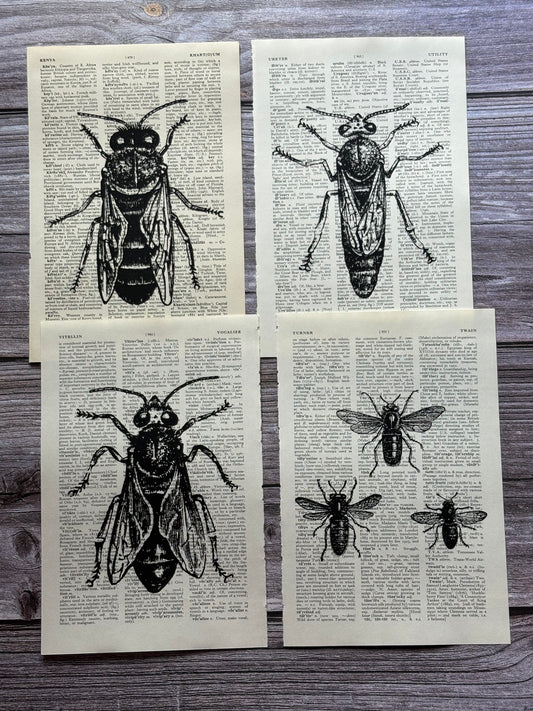 Antique Bee Dictionary Page Wall Art | Dark Cottagecore Gothic Prints | Set of 4