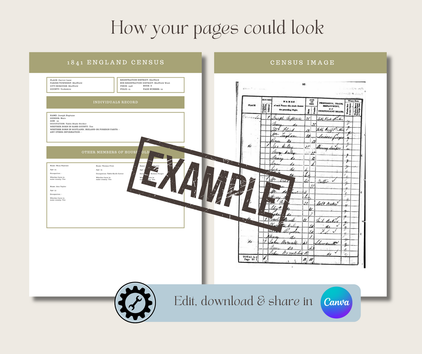 1841-1921 England Census Record Template for Family History Organisation (CANVA)