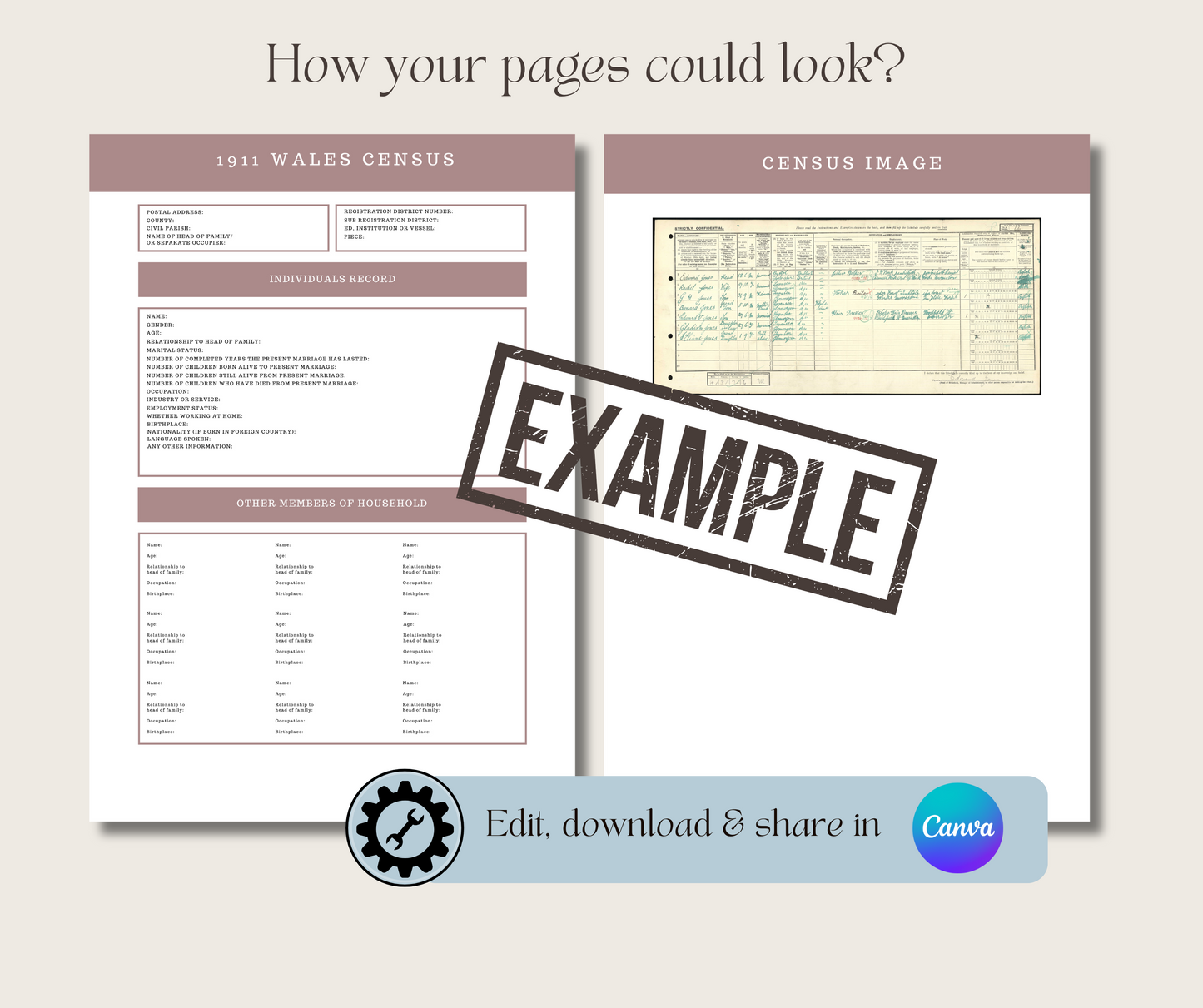 1841-1921 Wales Census Record Template for Family History Organisation (CANVA)