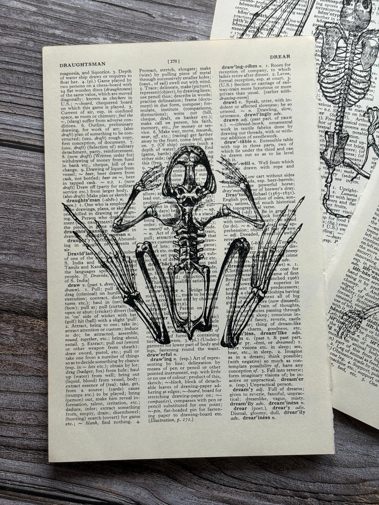 Antique Anatomy Dictionary Page Wall Art | Dark Cottagecore Gothic Prints | Set of 3