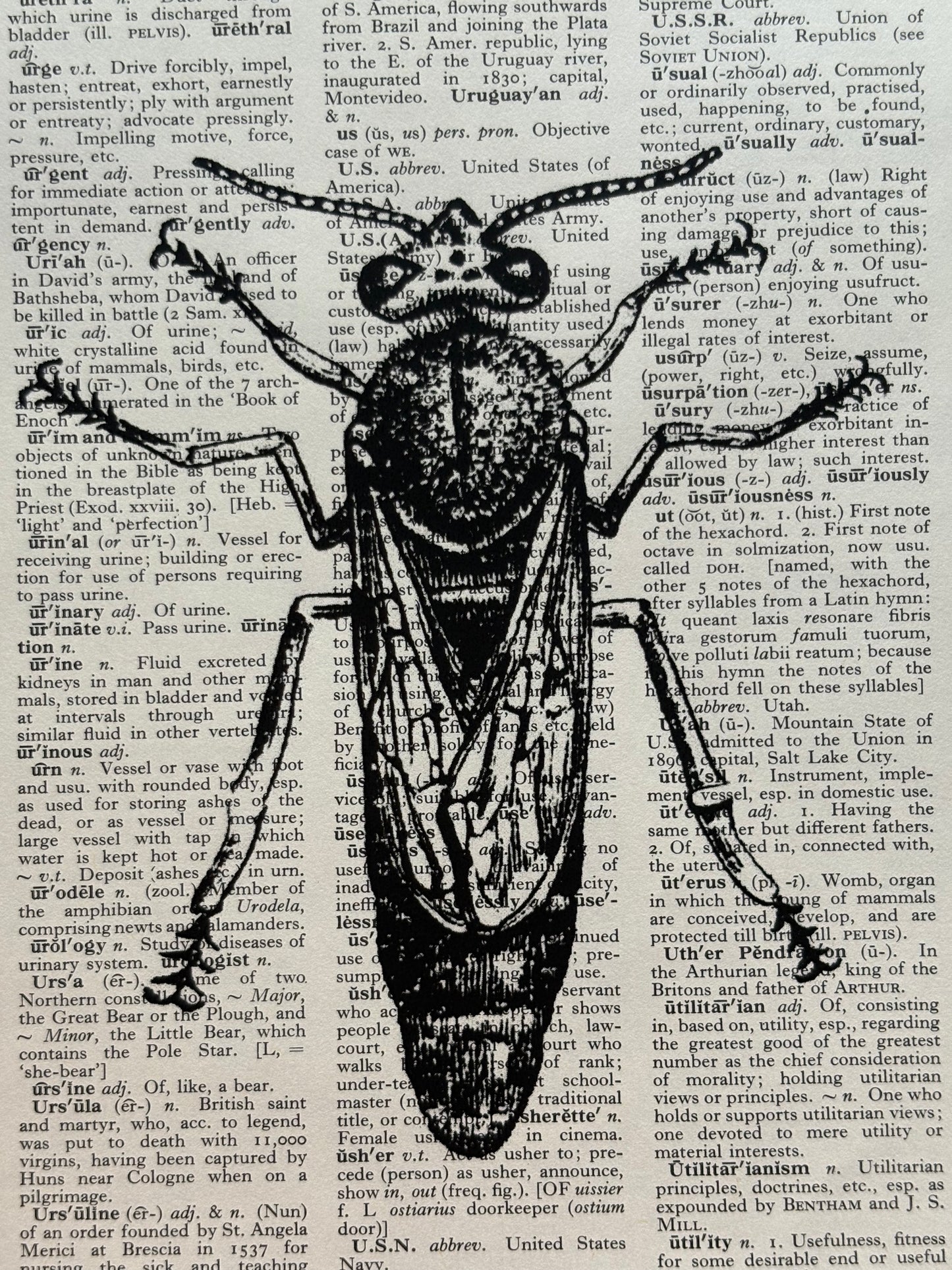 Antique Bee Dictionary Page Wall Art | Dark Cottagecore Gothic Prints | Set of 4
