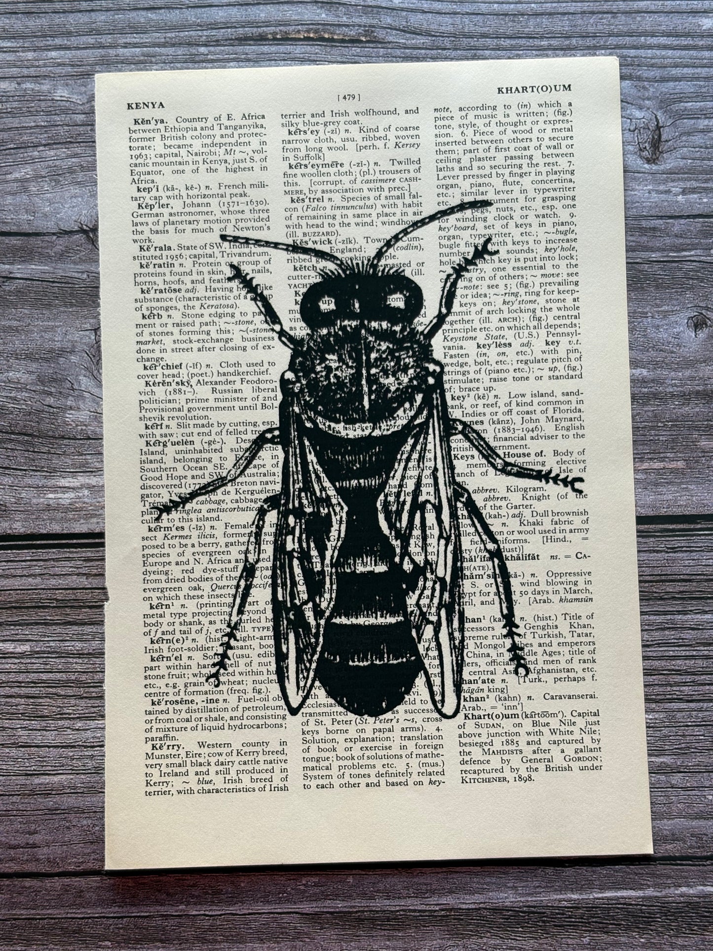 Antique Bee Dictionary Page Wall Art | Dark Cottagecore Gothic Prints | Set of 4