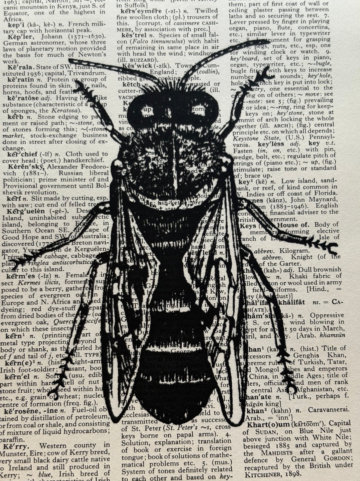 Antique Bee Dictionary Page Wall Art | Dark Cottagecore Gothic Prints | Set of 4