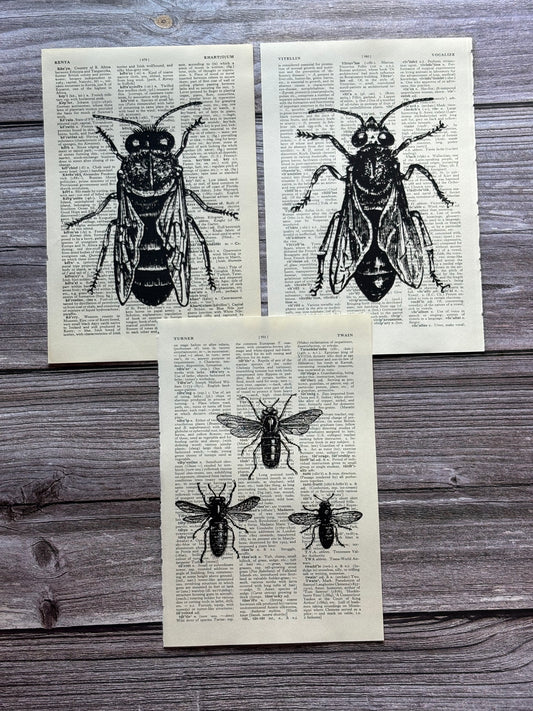 Antique Bee Dictionary Page Wall Art | Dark Cottagecore Gothic Prints | Set of 3