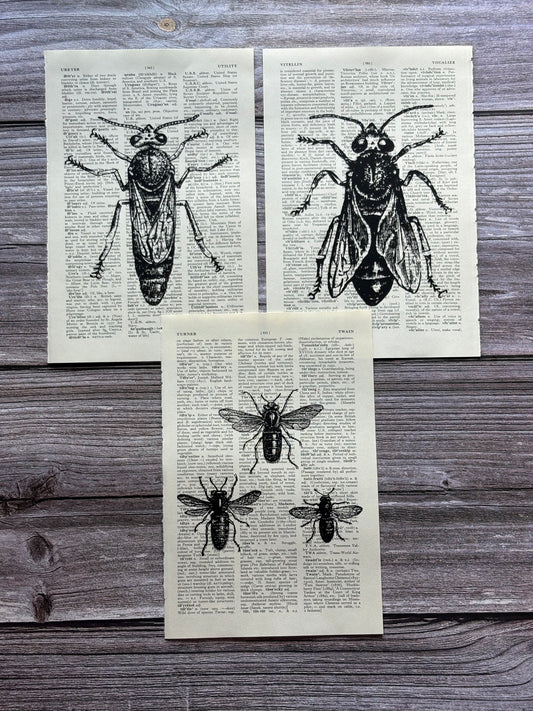 Antique Bee Dictionary Page Wall Art | Dark Cottagecore Gothic Prints | Set of 3
