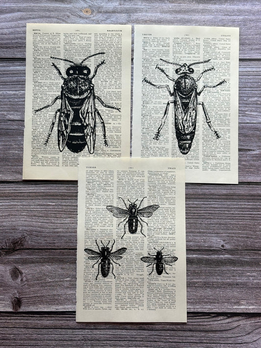 Antique Bee Dictionary Page Wall Art | Dark Cottagecore Gothic Prints | Set of 3