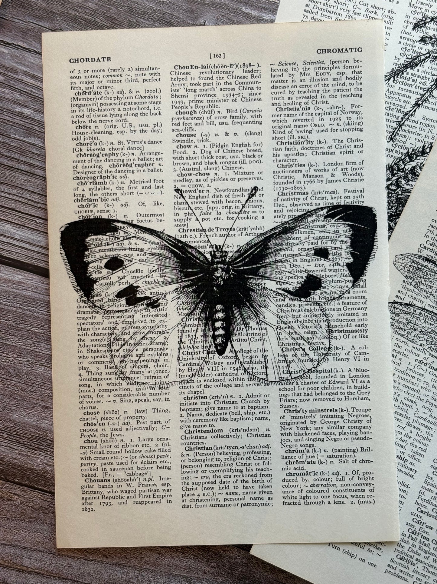 Antique Insect Dictionary Page Wall Art | Dark Cottagecore Gothic Prints | Set of 3