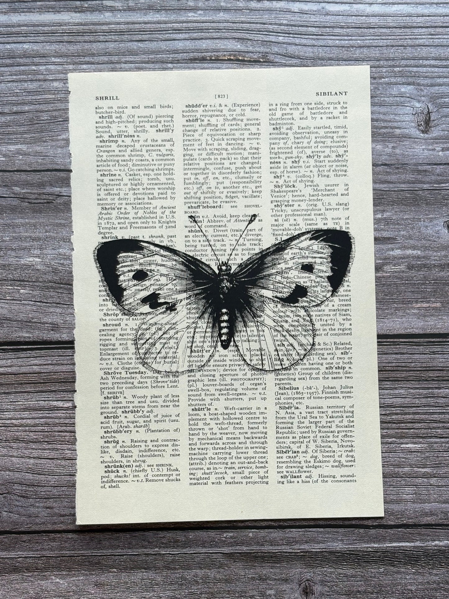 Antique Butterfly Dictionary Page Wall Art | Dark Cottagecore Gothic Print