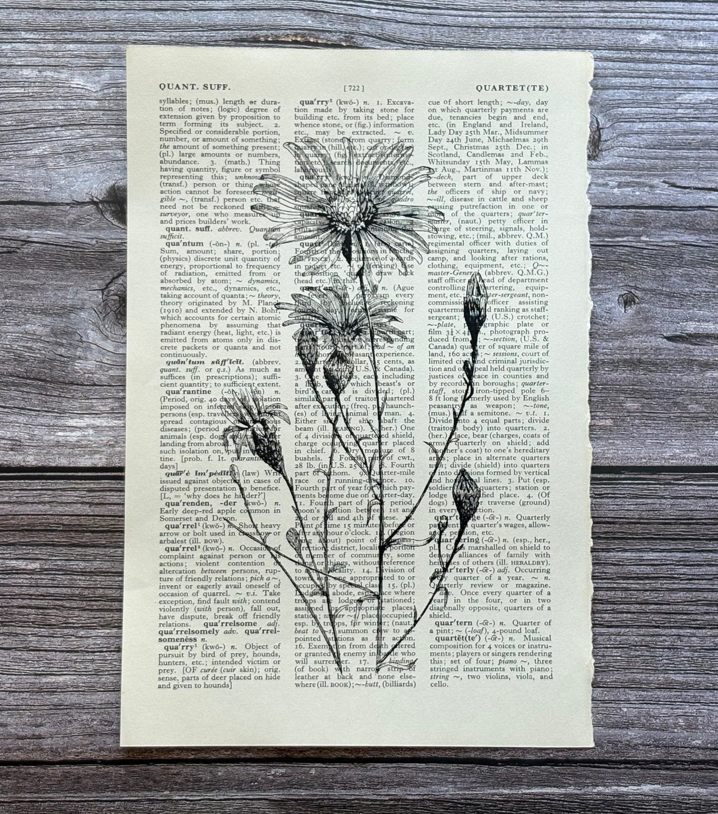 A vintage botanical art print featuring black ink illustrations of wildflowers on aged, text-filled paper, displayed flat on a rustic gray wooden plank background.