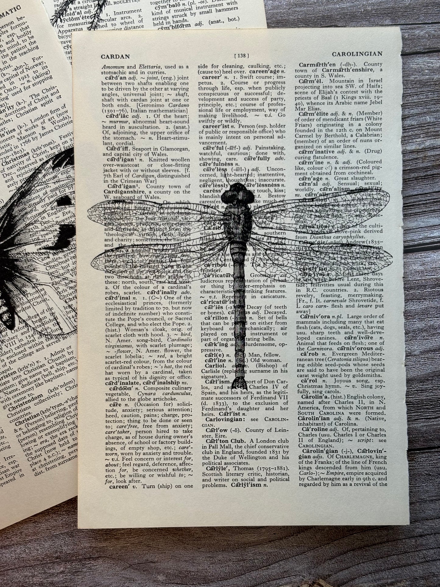 Antique Insect Dictionary Page Wall Art | Dark Cottagecore Gothic Prints | Set of 3
