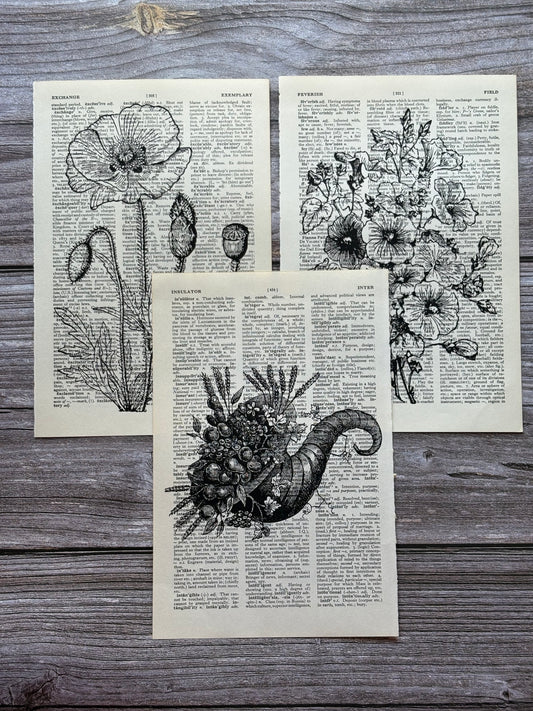Antique Botanical Flower Dictionary Page Wall Art | Dark Cottagecore Gothic Prints | Set of 3