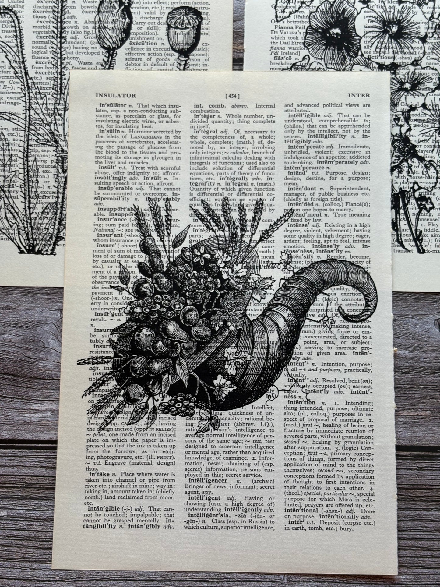 Antique Botanical Flower Dictionary Page Wall Art | Dark Cottagecore Gothic Prints | Set of 3