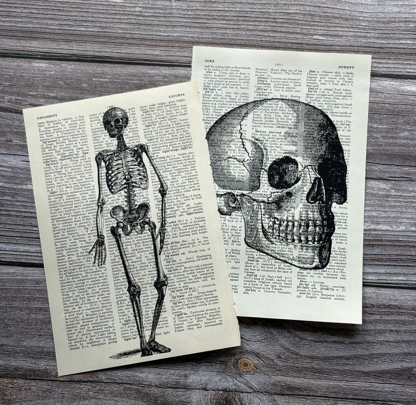 Antique Human Skull and Skeleton Anatomy Dictionary Page Wall Art | Dark Cottagecore Gothic Prints | Set of 2