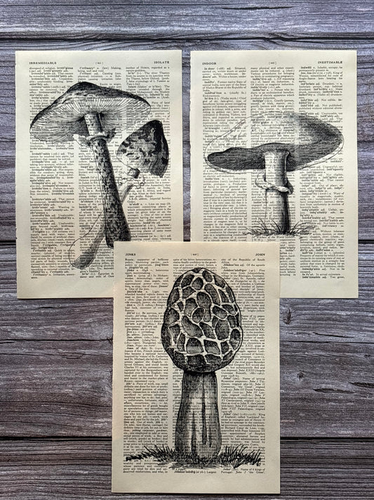 Antique Mushroom Dictionary Page Wall Art | Dark Cottagecore Gothic Prints | Set of 3