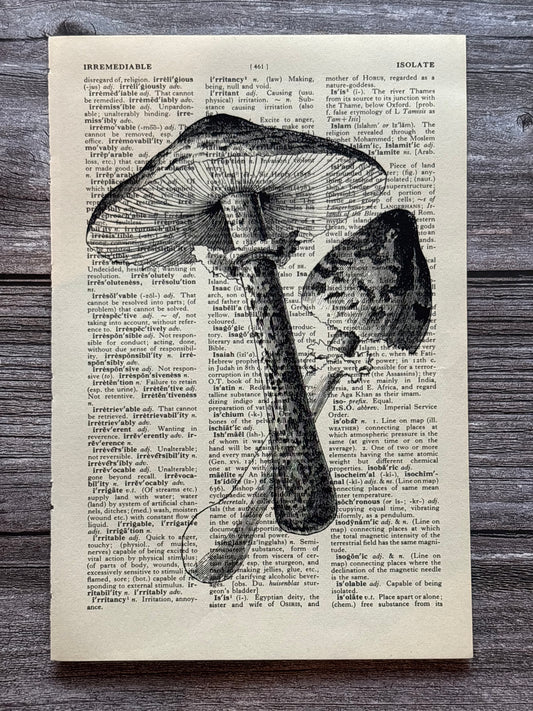 Antique Fungi Dictionary Page Wall Art | Dark Cottagecore Gothic Print