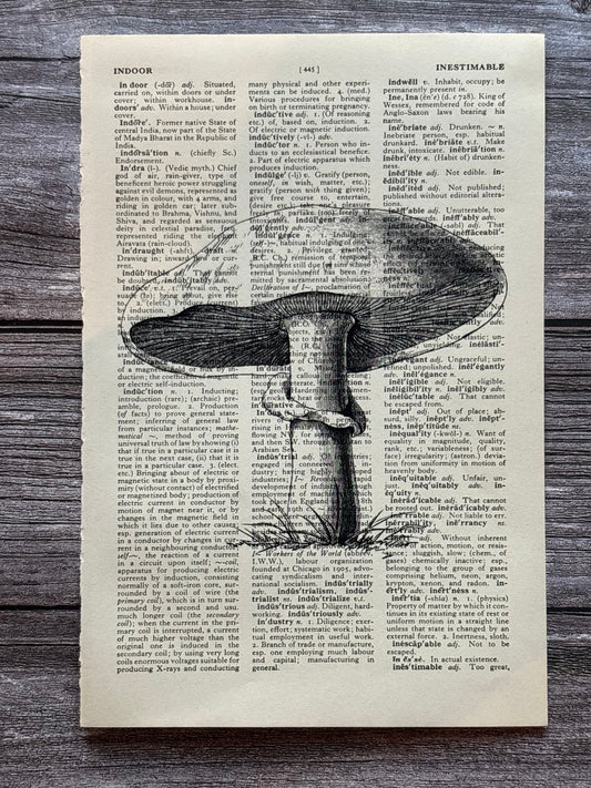 Antique Fungi Dictionary Page Wall Art | Dark Cottagecore Gothic Print