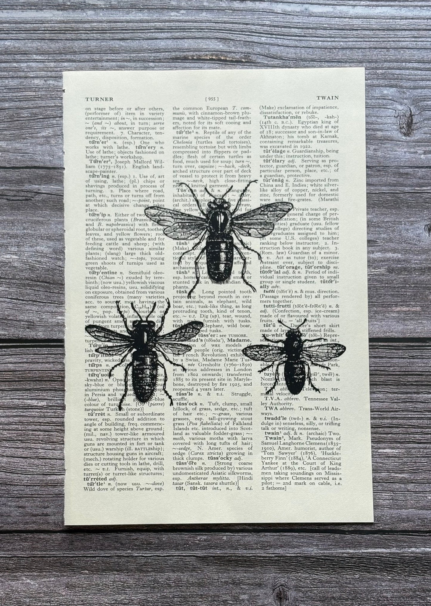 Antique Honey Bee Dictionary Page Wall Art | Dark Cottagecore Gothic Print
