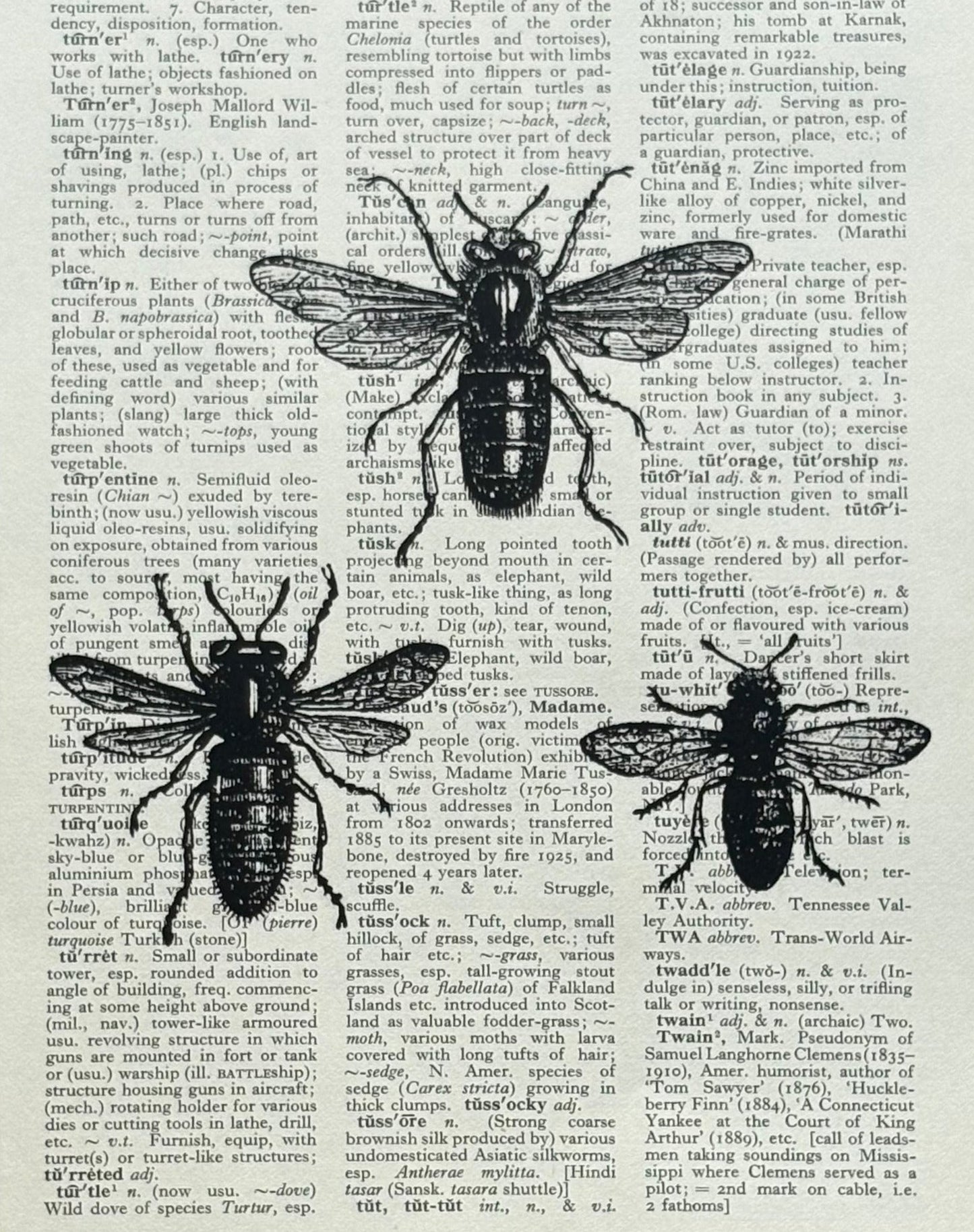 Antique Honey Bee Dictionary Page Wall Art | Dark Cottagecore Gothic Print