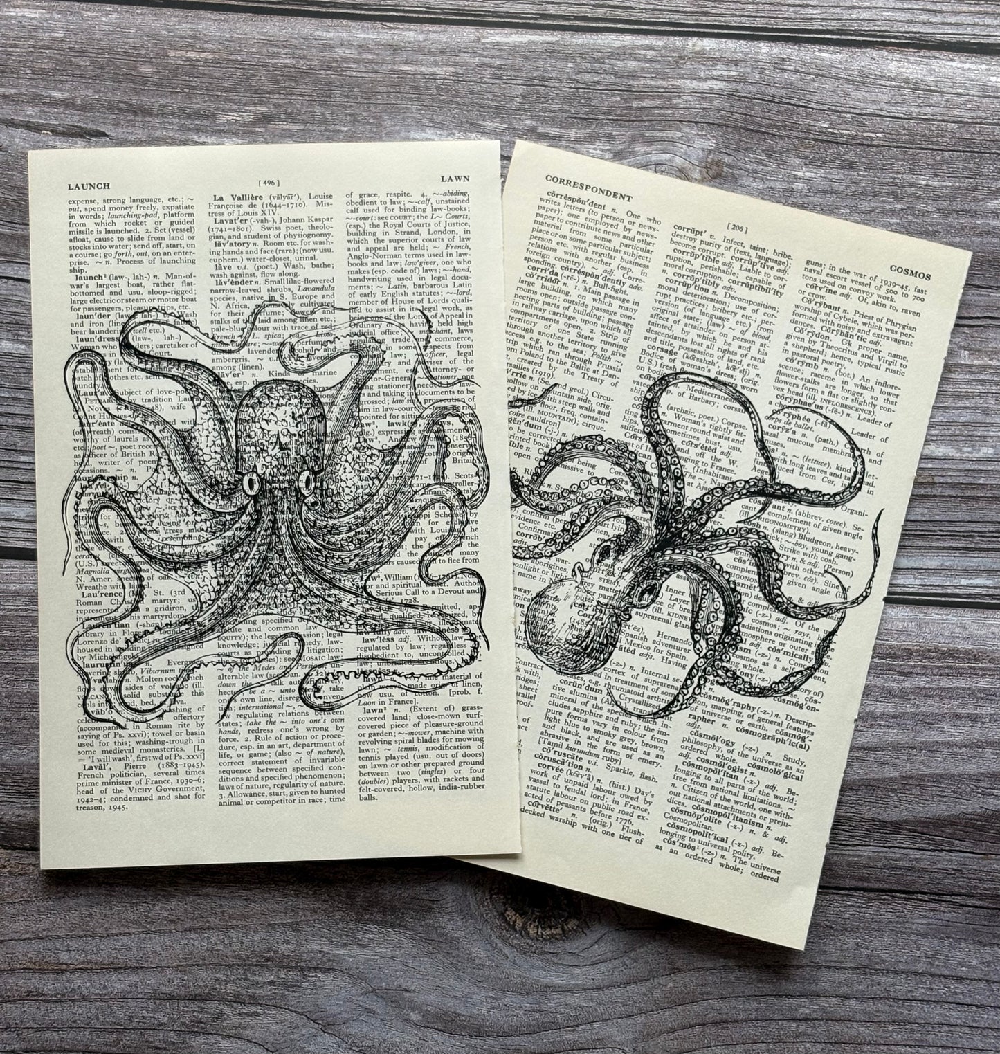 Antique Octopus Dictionary Page Wall Art | Dark Cottagecore Gothic Sea Creature Prints | Set of 2