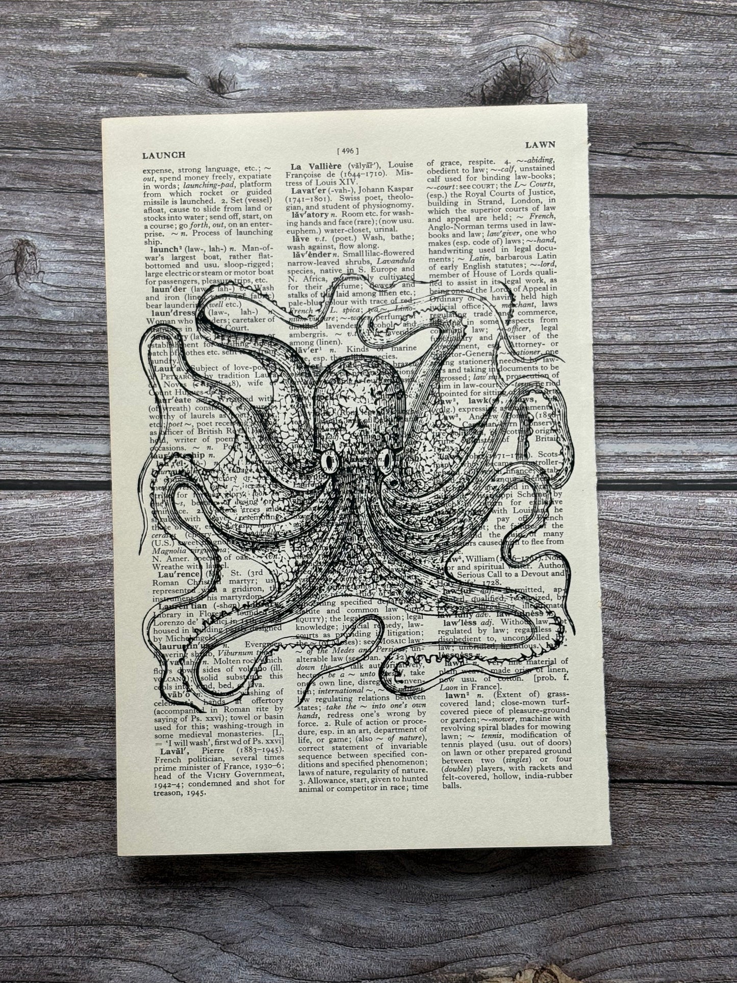 Antique Octopus Dictionary Page Wall Art | Dark Cottagecore Gothic Print
