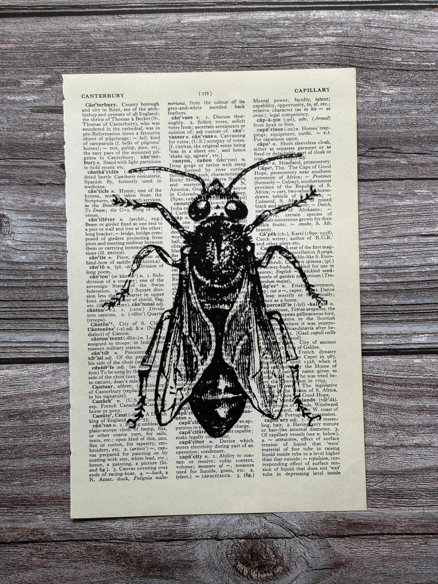 Antique Worker Bee Dictionary Page Wall Art | Dark Cottagecore Gothic Print