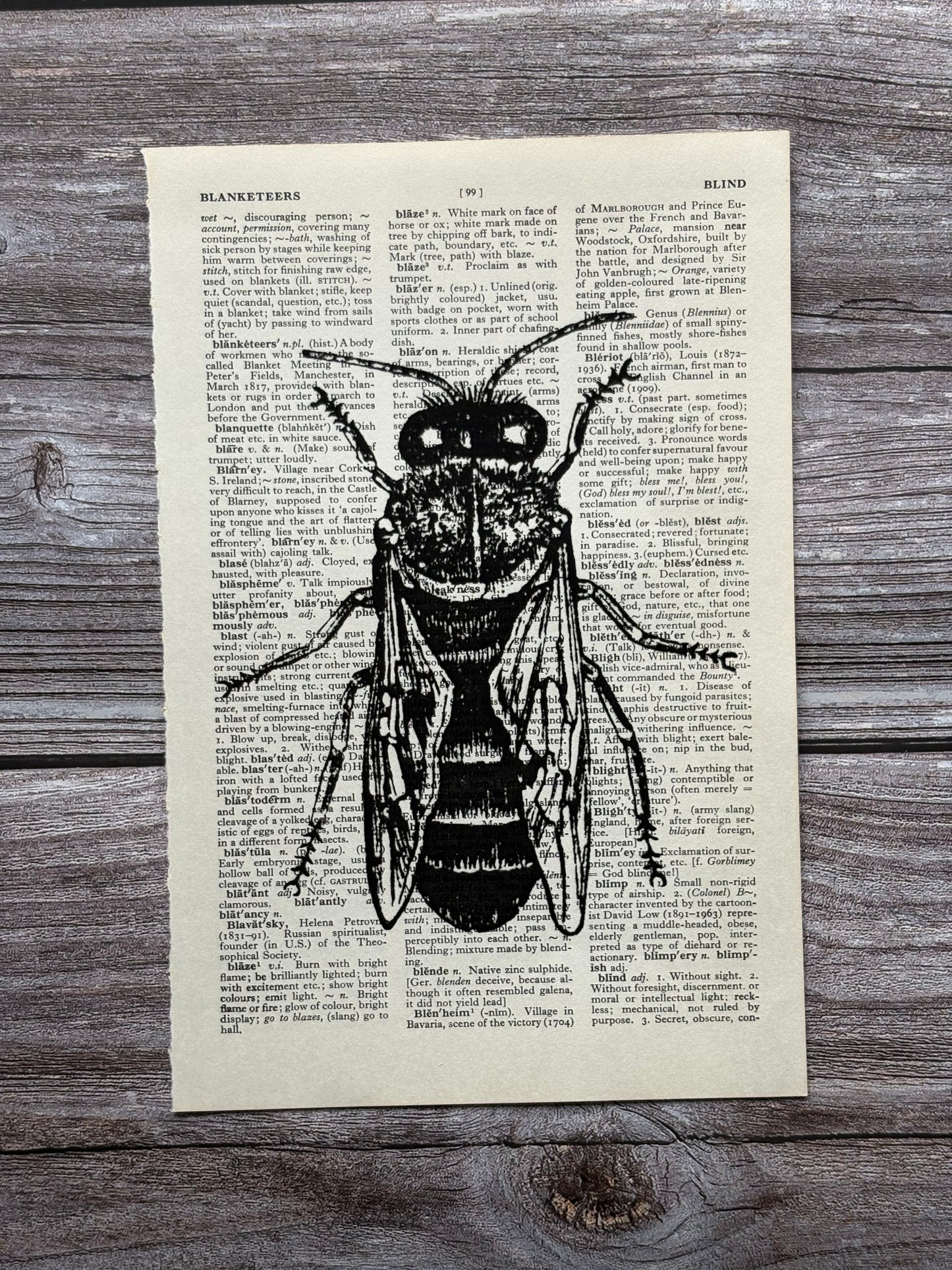 Antique Drone Bee Dictionary Page Wall Art | Dark Cottagecore Gothic Print