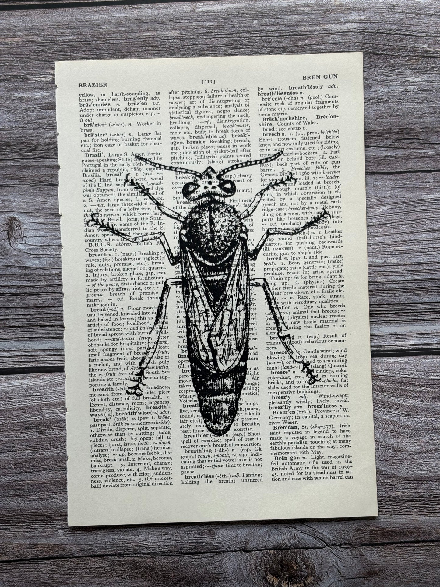 Antique Queen Bee Dictionary Page Wall Art | Dark Cottagecore Gothic Print
