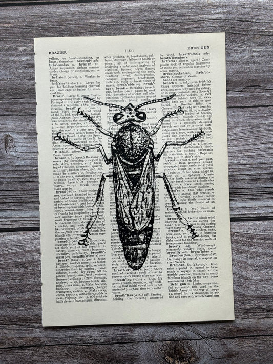 Antique Queen Bee Dictionary Page Wall Art | Dark Cottagecore Gothic Print