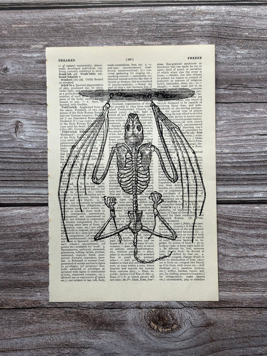 Antique Bat Anatomy Dictionary Page Wall Art | Dark Cottagecore Gothic Print