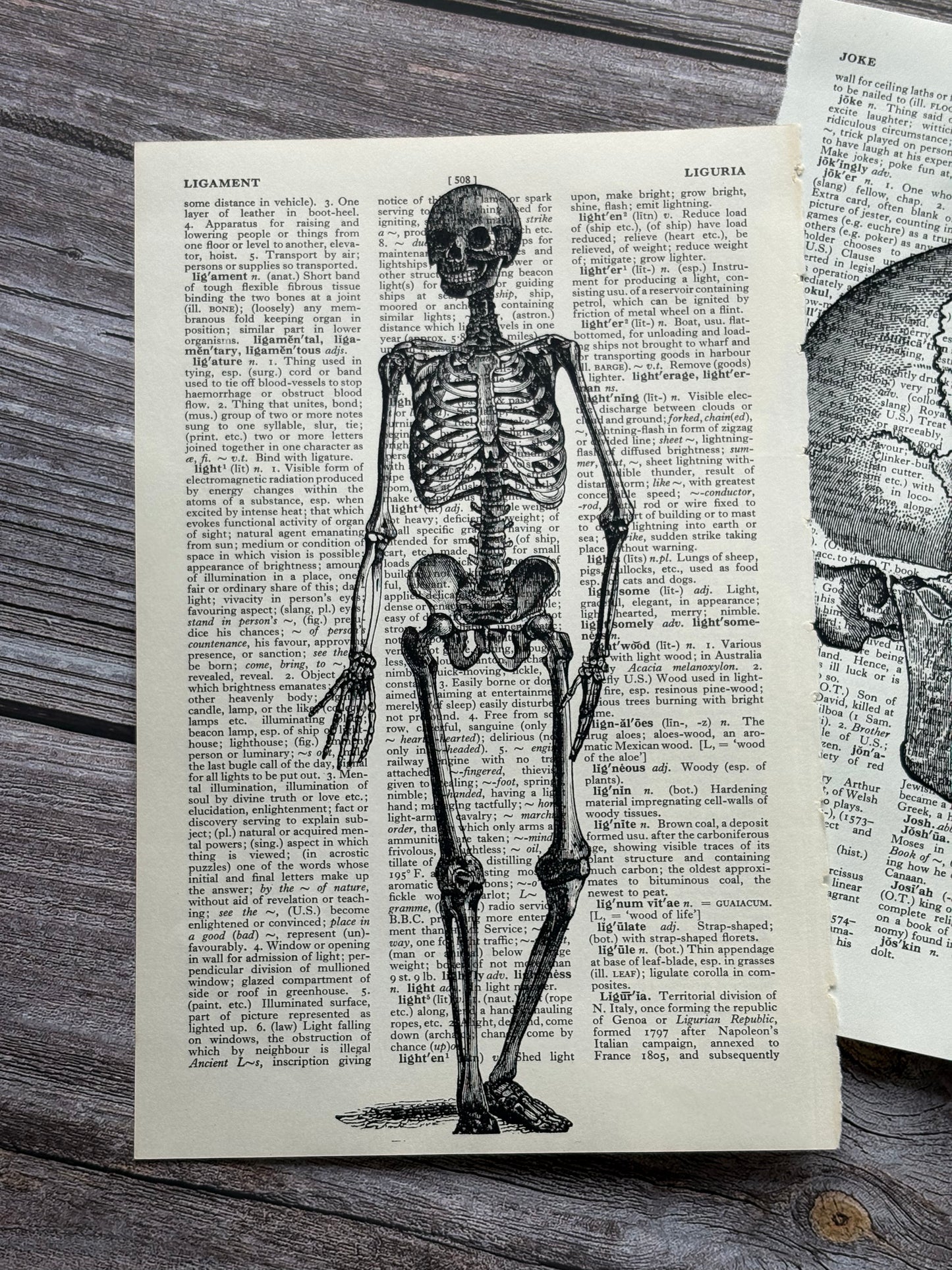 Antique Human Skull and Skeleton Anatomy Dictionary Page Wall Art | Dark Cottagecore Gothic Prints | Set of 2