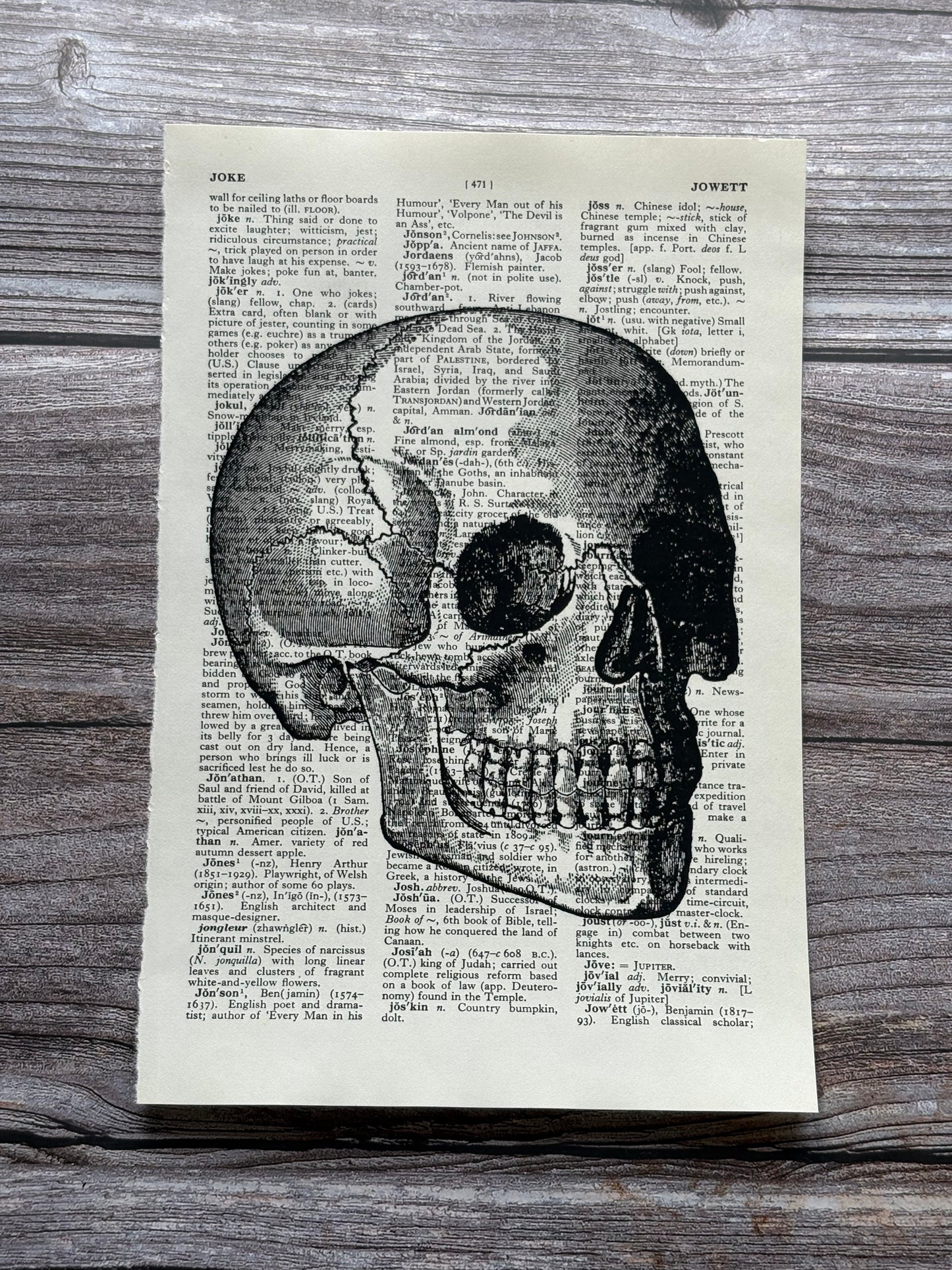 Antique Human Skull Anatomy Dictionary Page Wall Art | Dark Cottagecore Gothic Print