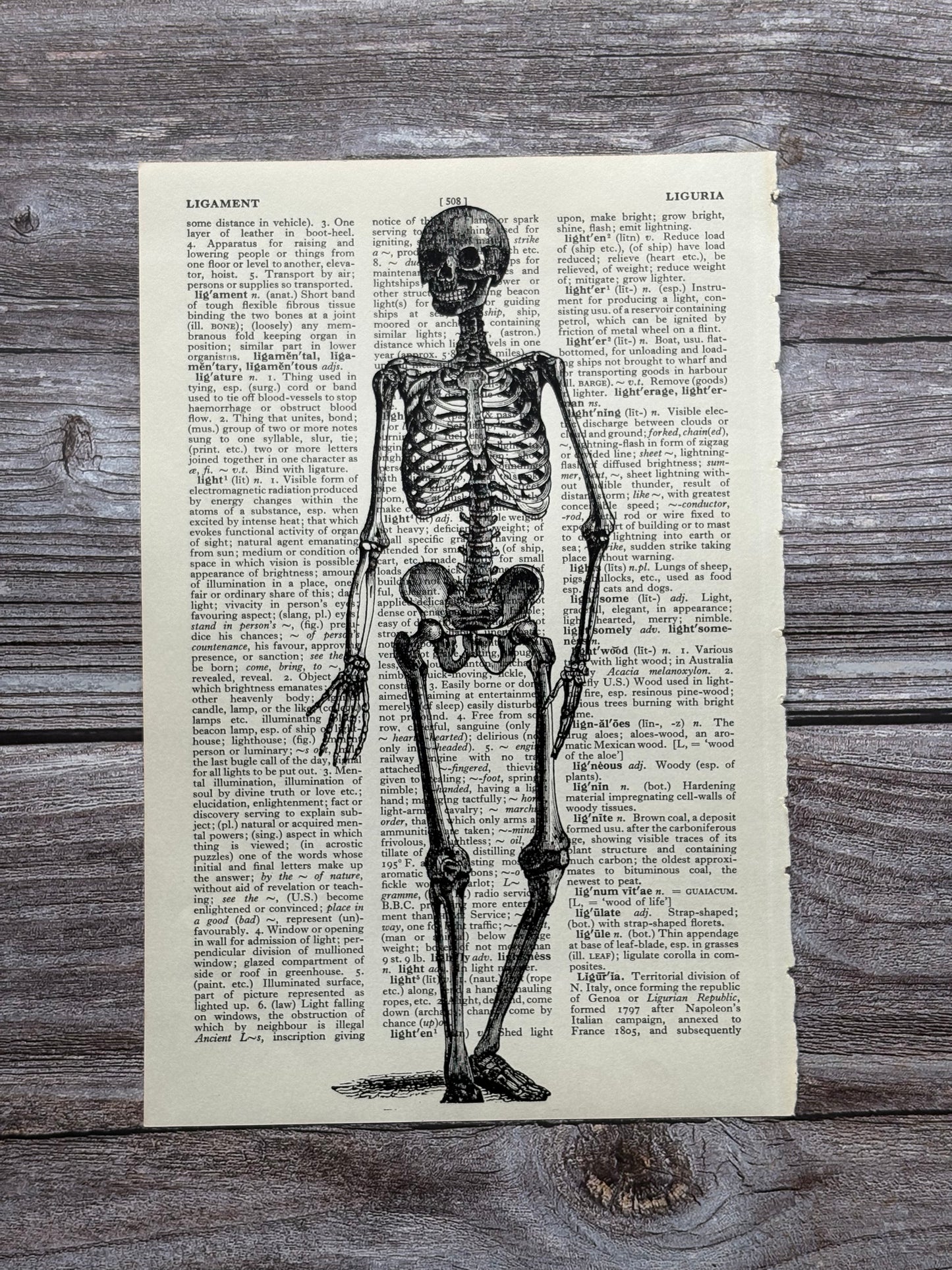 Antique Human Skeleton Anatomy Dictionary Page Wall Art | Dark Cottagecore Gothic Print