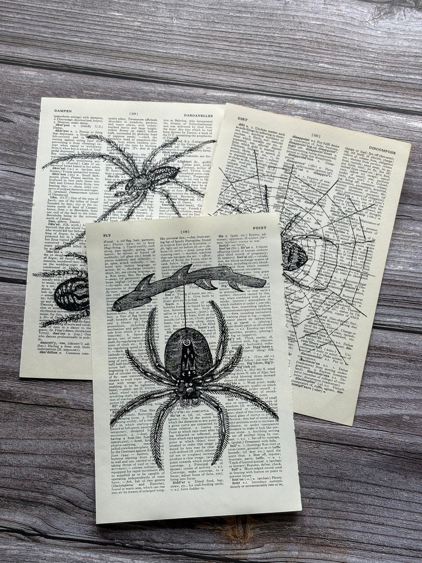 Antique Spider Dictionary Page Wall Art | Dark Cottagecore Gothic Prints | Set of 3