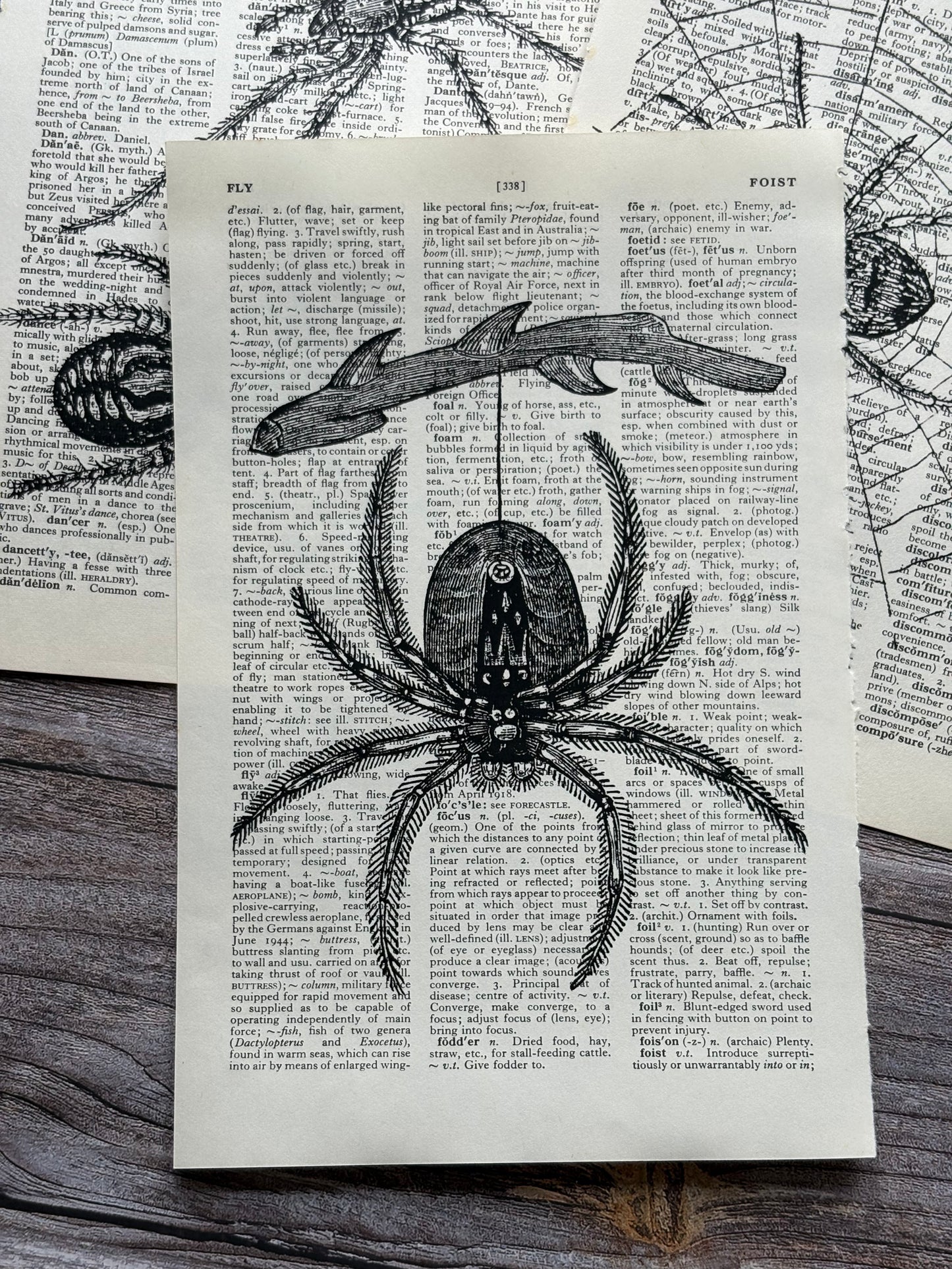 Antique Spider Dictionary Page Wall Art | Dark Cottagecore Gothic Prints | Set of 3