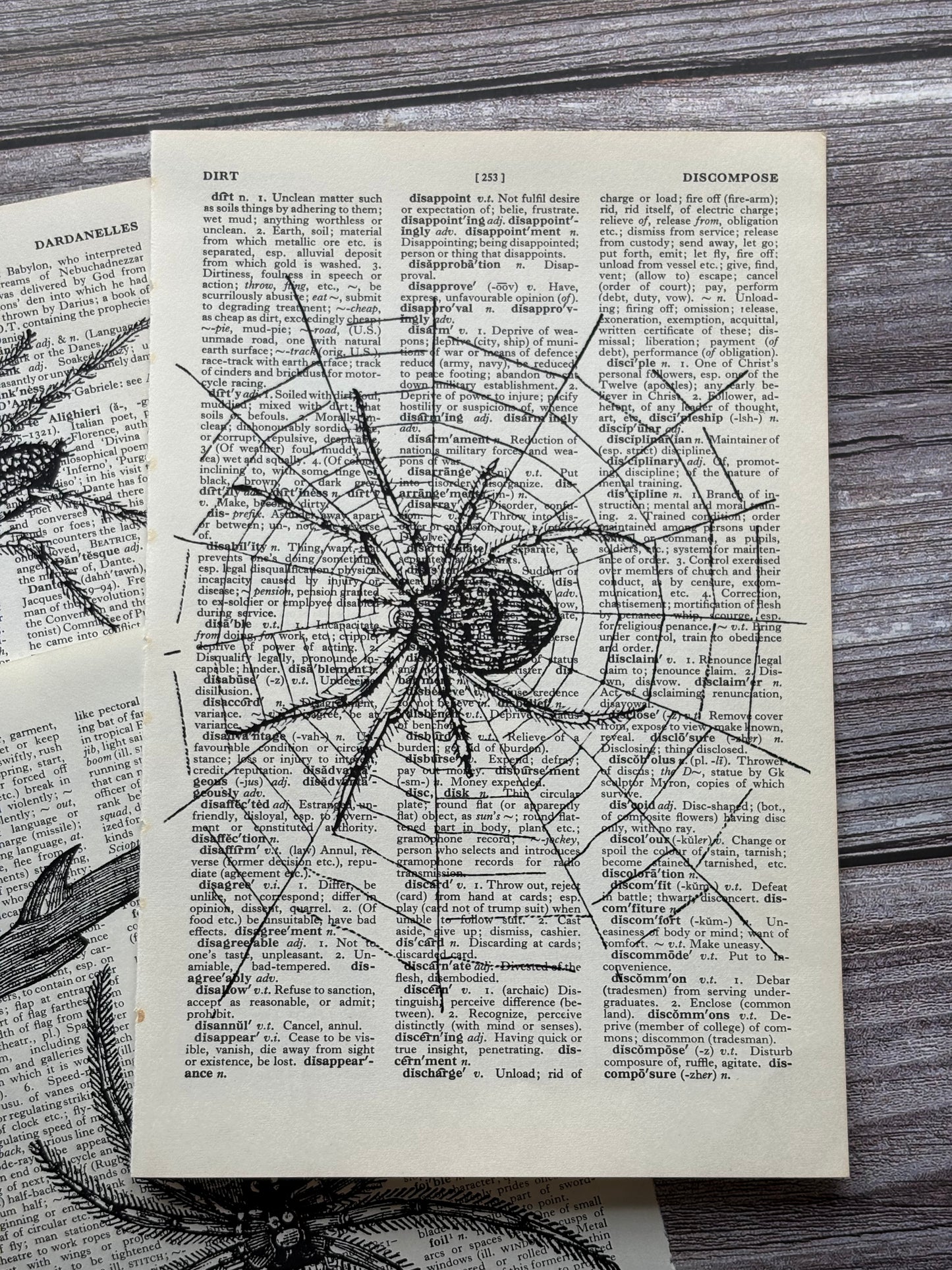Antique Spider Dictionary Page Wall Art | Dark Cottagecore Gothic Prints | Set of 3