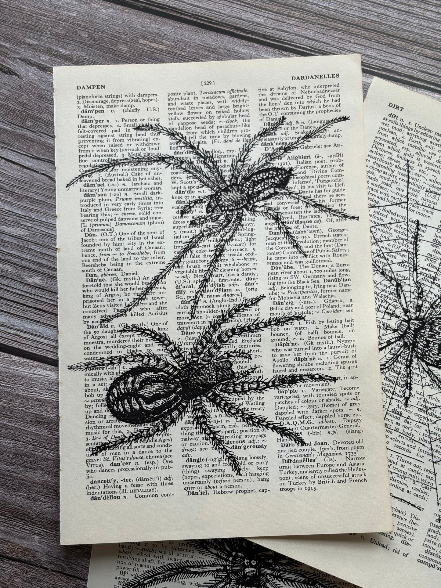 Antique Spider Dictionary Page Wall Art | Dark Cottagecore Gothic Prints | Set of 3