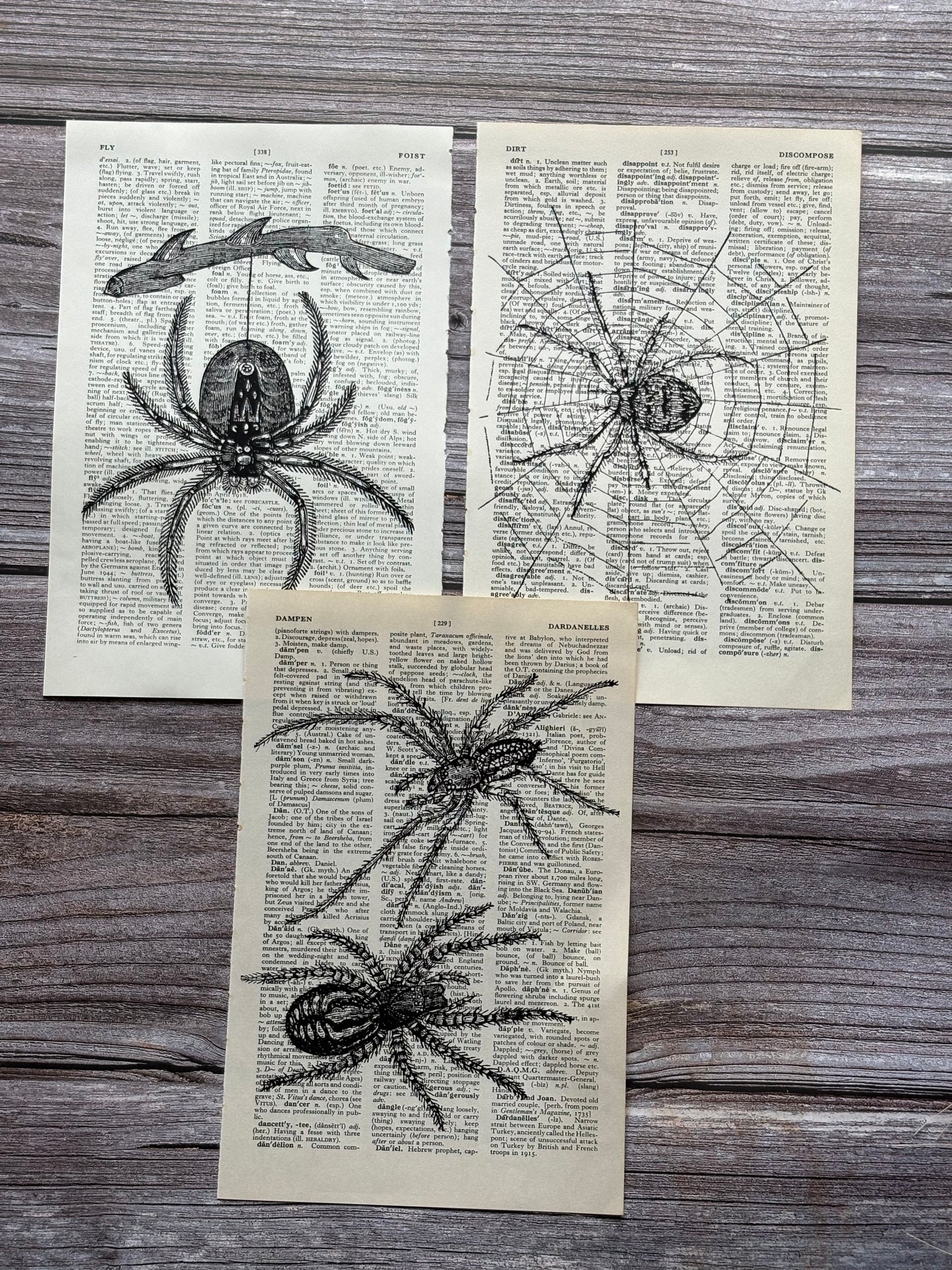 Antique Spider Dictionary Page Wall Art | Dark Cottagecore Gothic Prints | Set of 3