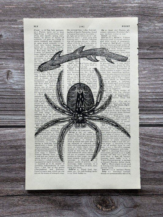 Antique Spider Dictionary Page Wall Art | Dark Cottagecore Gothic Print